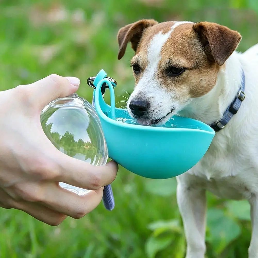 Zero-Waste Portable Dog Water Bottle with Built-In Folding Cup