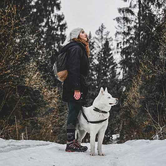 Elektrisches Hundetrainingshalsband mit Fernbedienung – Wiederaufladbar & Wasserdicht
